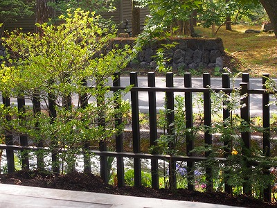 e0192217_12432728.jpg