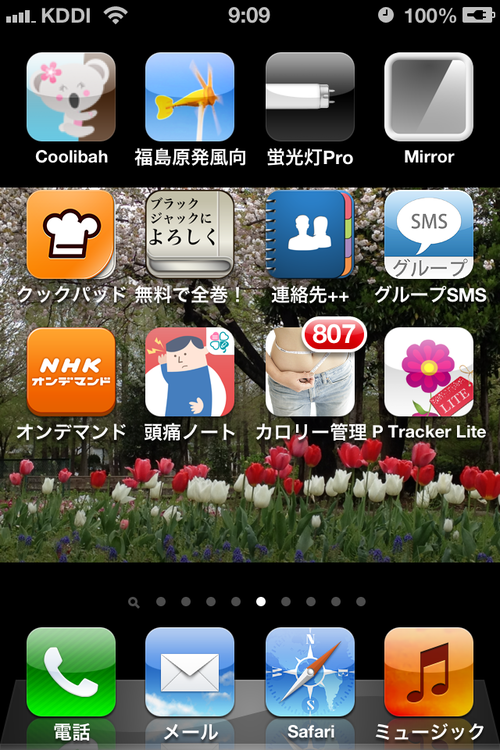 c0087023_21515939.png
