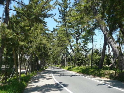 c0009528_22312151.jpg