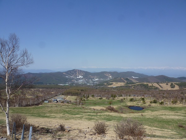 a0024829_17464978.jpg