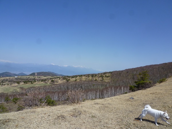 a0024829_17521670.jpg