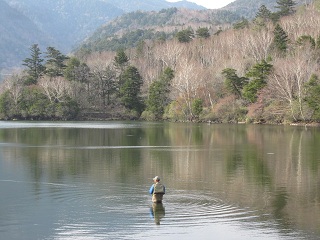 c0051529_9155635.jpg