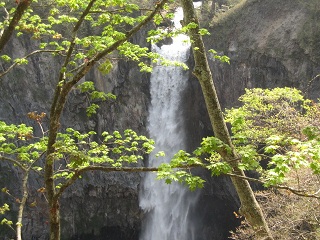 c0051529_9191532.jpg