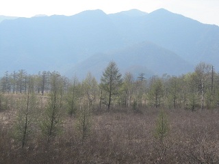 c0051529_9205788.jpg