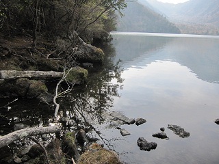 c0051529_9221220.jpg