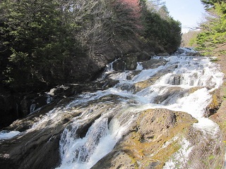 c0051529_92468.jpg
