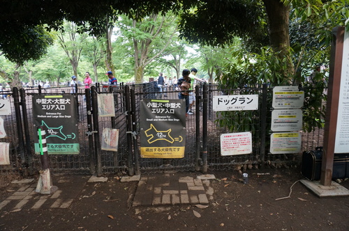 f0045530_21254763.jpg