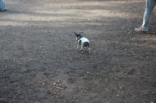 f0045530_21275588.jpg