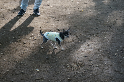 f0045530_21284888.jpg