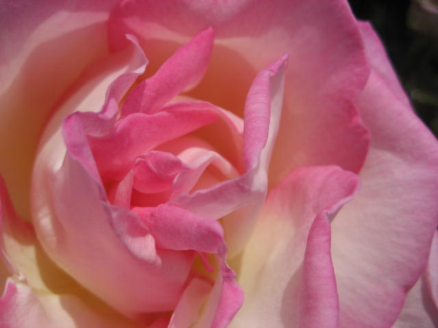 b0166435_1322450.jpg