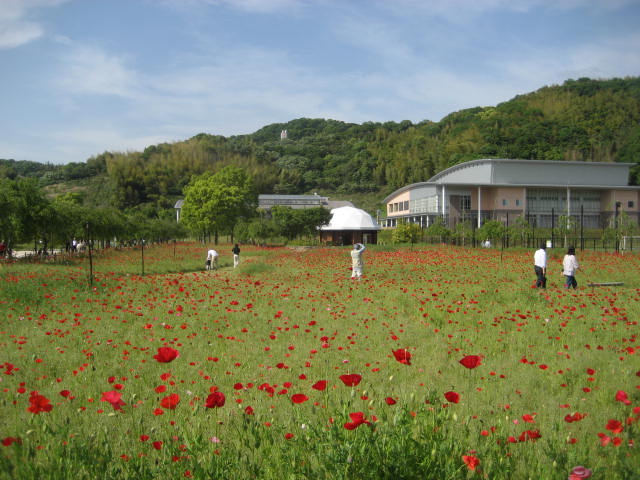 b0166435_14353444.jpg