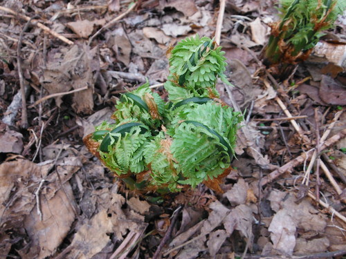 e0262235_20321478.jpg