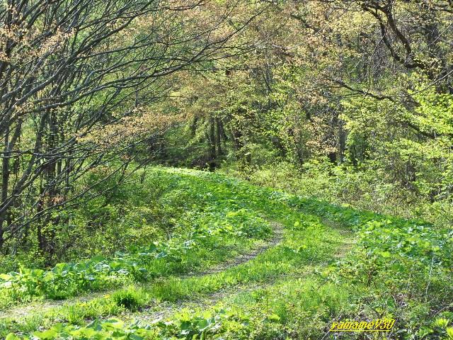 c0225536_1345628.jpg