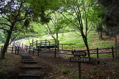 a0237937_20511181.jpg