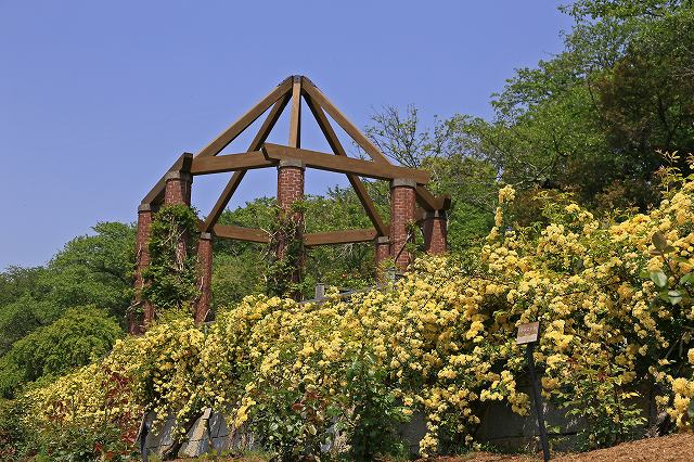 a0242438_1810135.jpg
