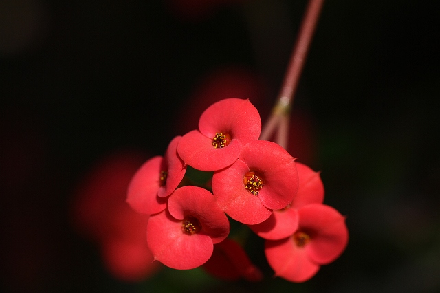 a0242438_1885865.jpg