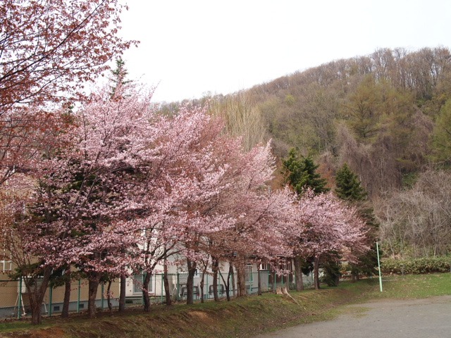 c0117239_81057.jpg