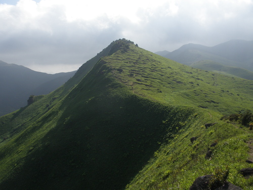 a0289641_1945136.jpg
