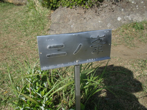a0289641_19471851.jpg
