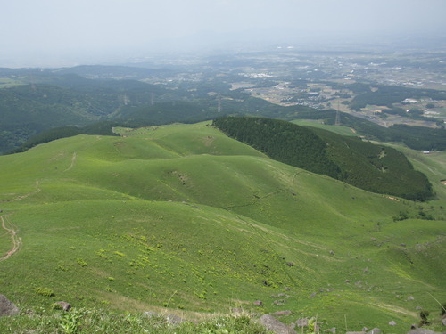 a0289641_2065739.jpg