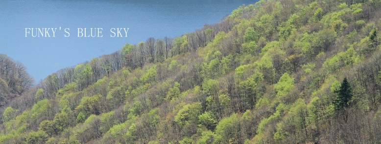 c0145250_16322314.jpg