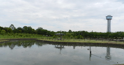 e0172950_1931993.jpg