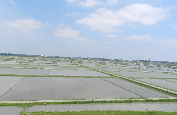 e0172950_732594.jpg