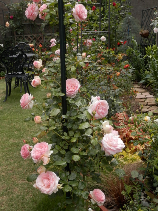 e0288951_2040072.jpg