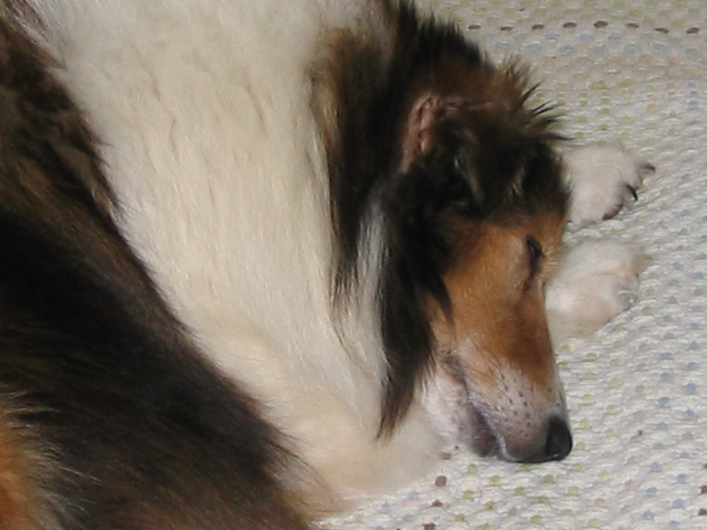 a0140955_14204020.jpg