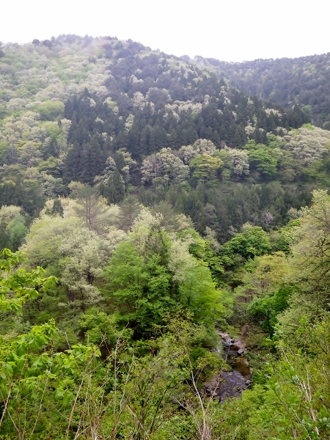 b0177355_20412077.jpg