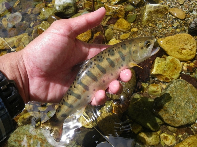 b0177355_2041575.jpg