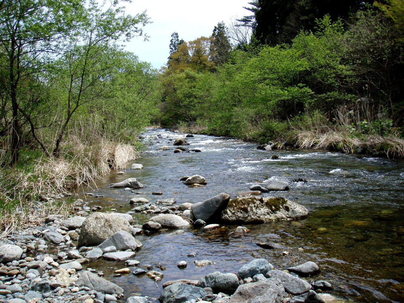 d0283357_2123595.jpg