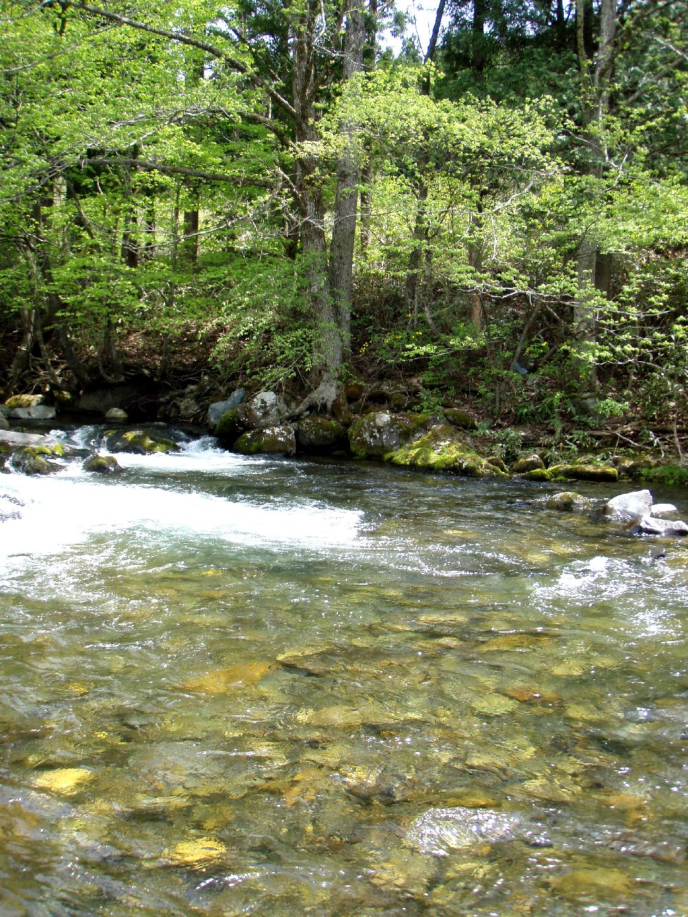 d0283357_21302592.jpg