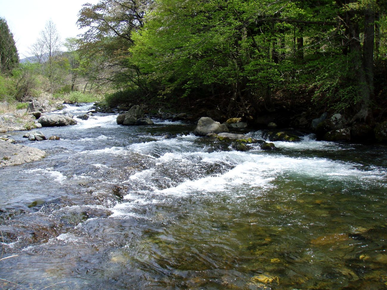 d0283357_2133083.jpg