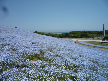 b0167759_1947534.jpg