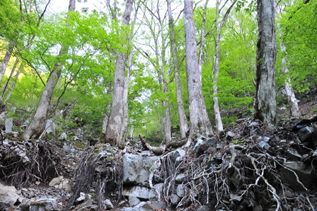c0303868_6222568.jpg