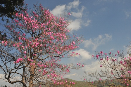c0303868_714677.jpg