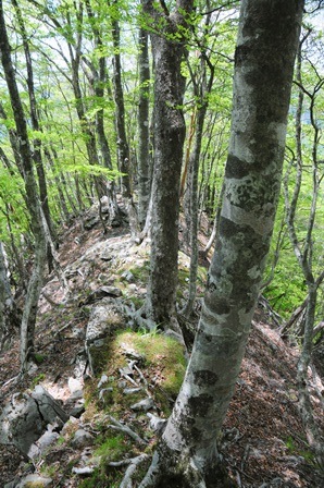 c0303868_782418.jpg