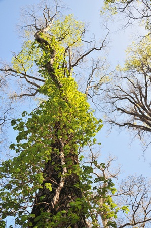 c0303868_792429.jpg