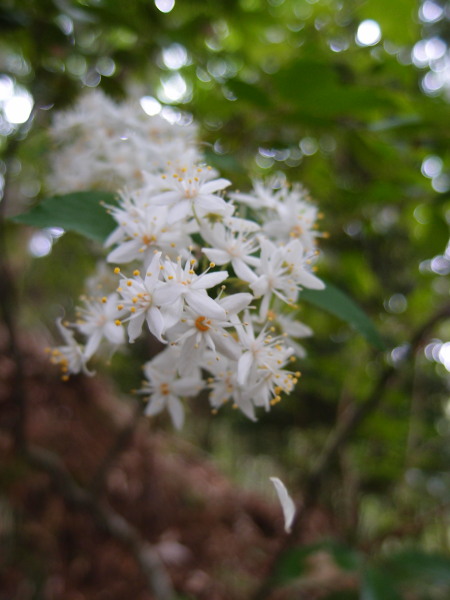 c0122670_2159760.jpg