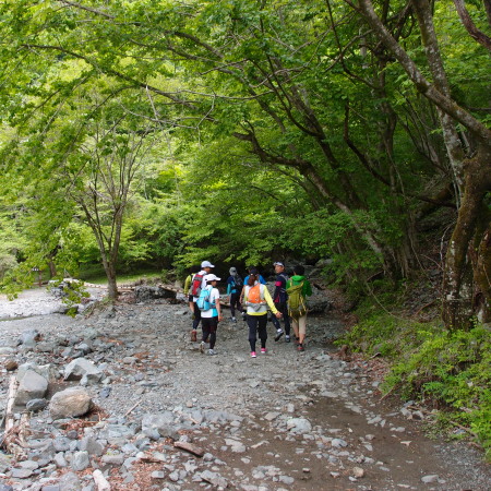 c0122670_2232522.jpg
