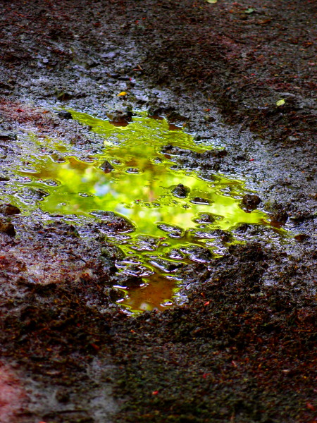 c0122670_2251560.jpg