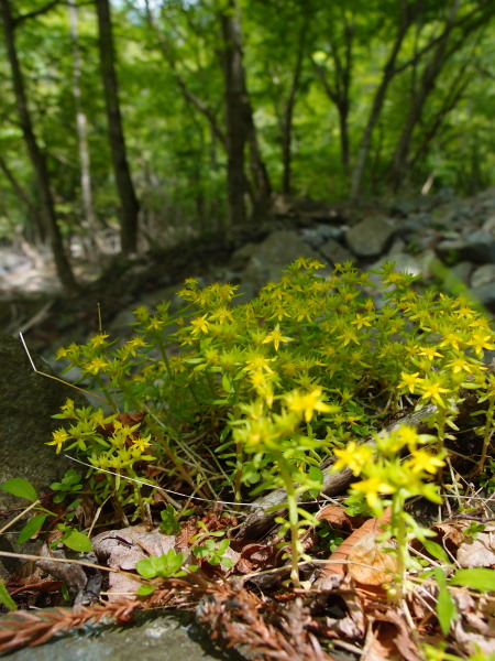 c0122670_2252841.jpg