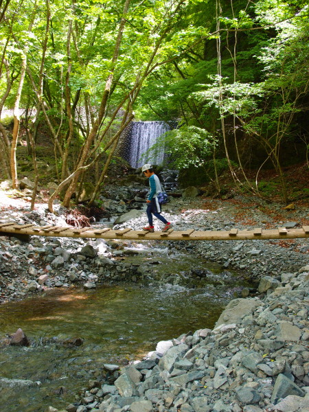 c0122670_2262511.jpg