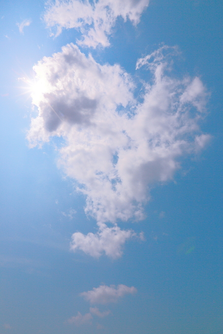 c0268775_621206.jpg