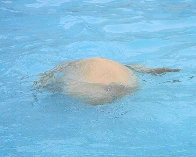 b0014576_5153010.jpg