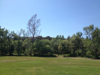 f0068883_17282998.jpg