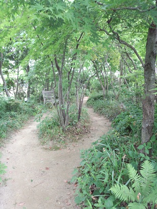 f0231084_18341016.jpg