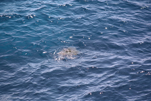 c0204385_1902177.jpg