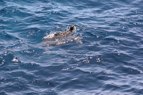c0204385_191677.jpg